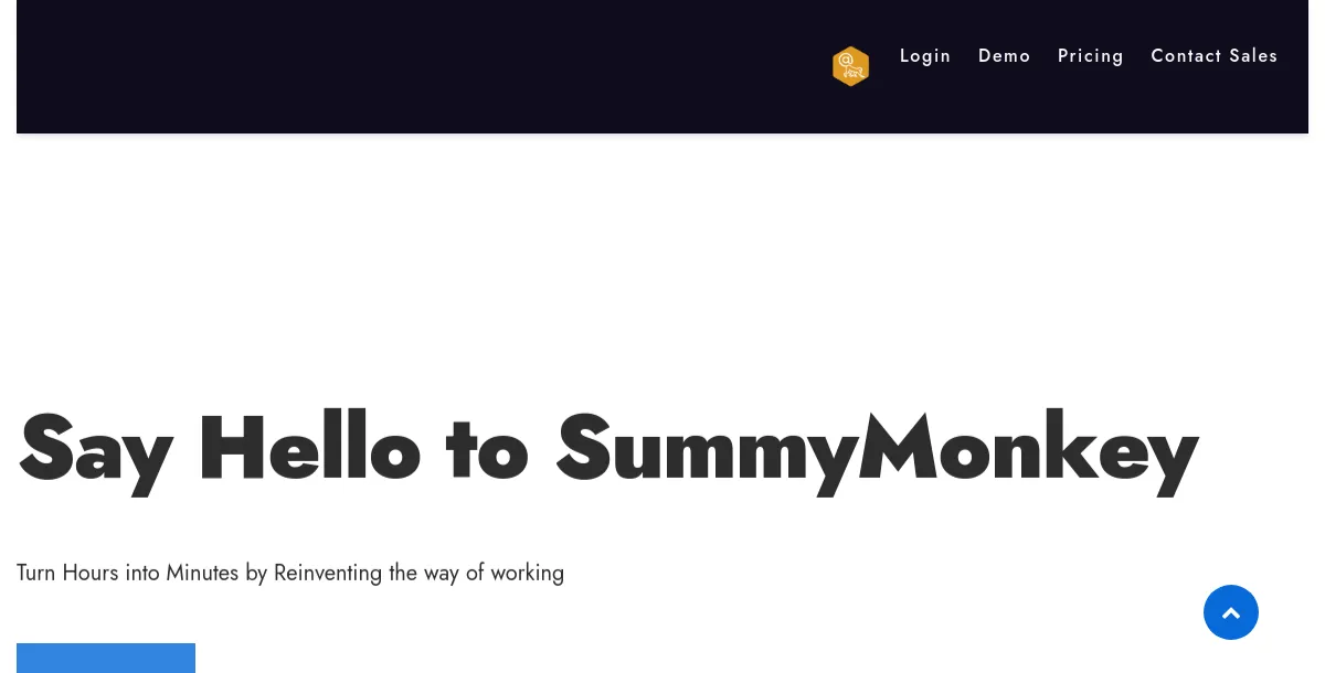 SummyMonkey